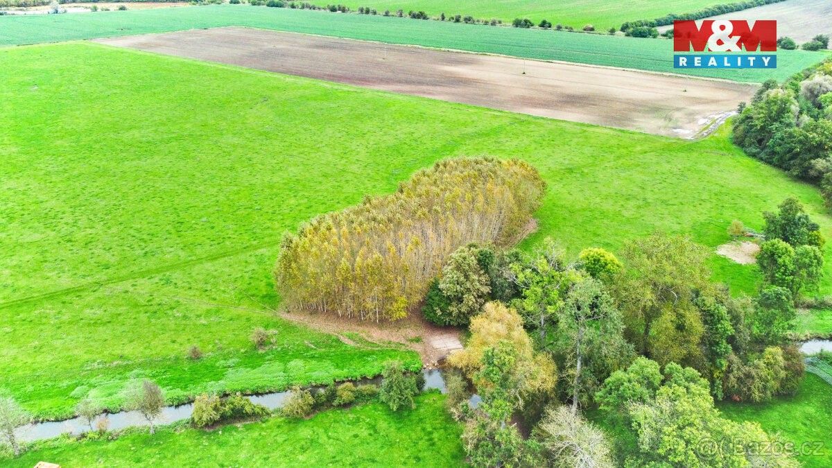 Prodej pozemek pro bydlení - Skřivany u Nového Bydžova, 503 52