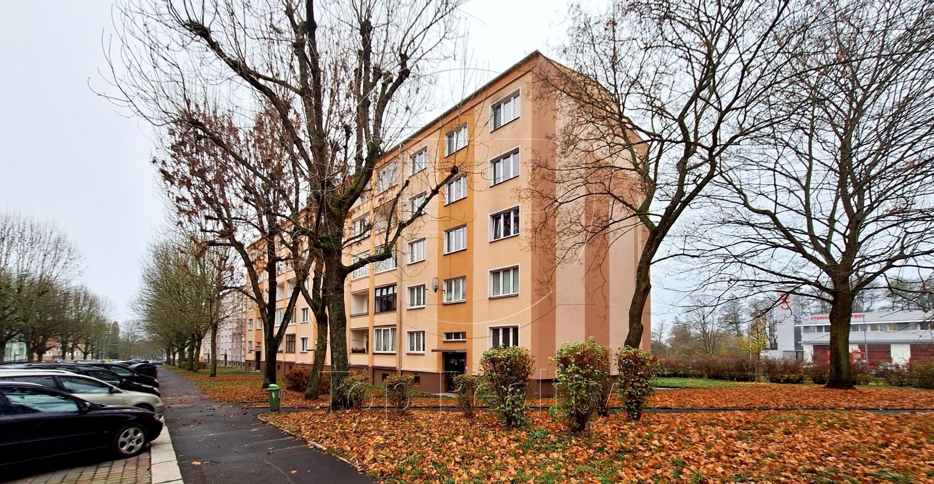 2+1, Kollárova, Ostrov, 55 m²