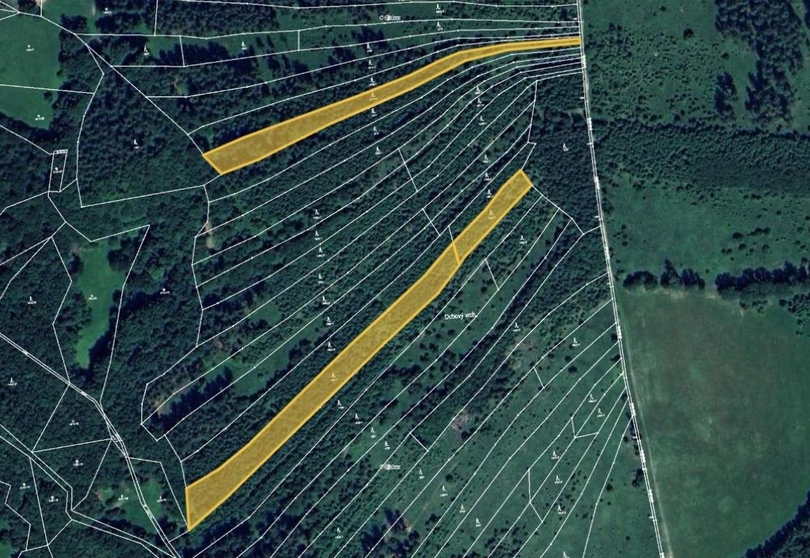 Lesy, Nedašov, 793 m²