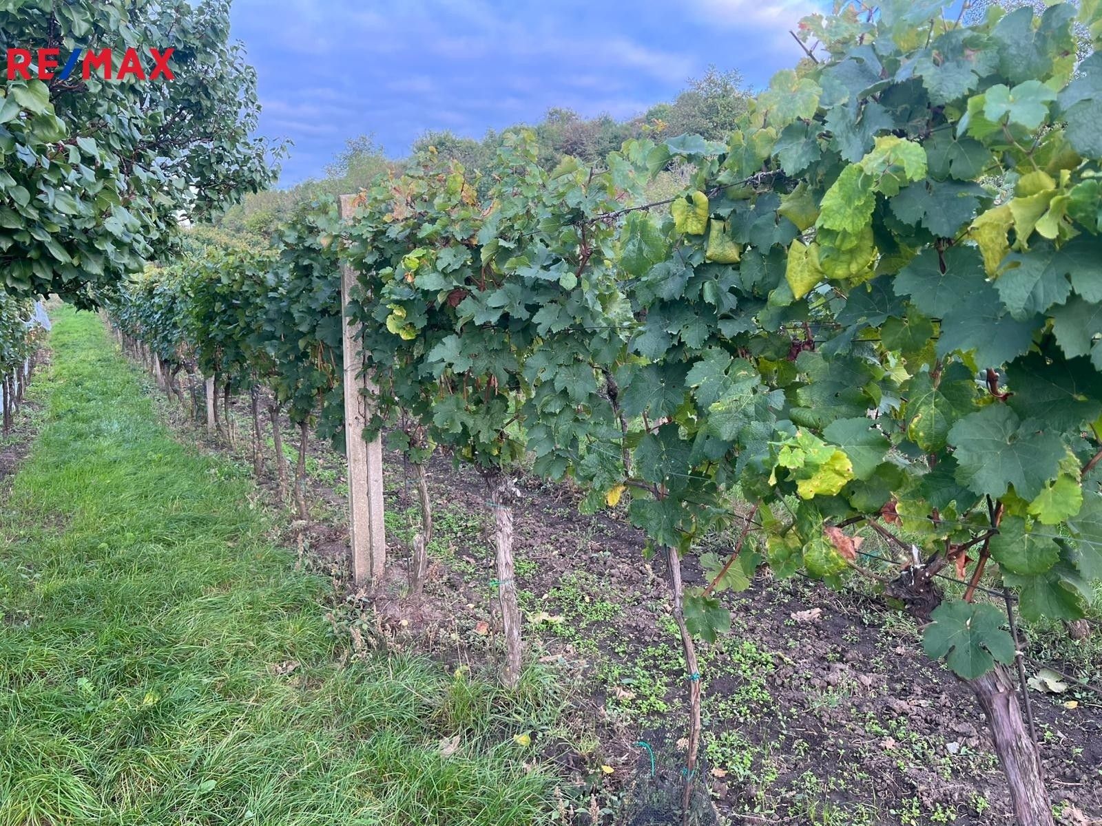 Ostatní, Dolní Dunajovice, 3 m²