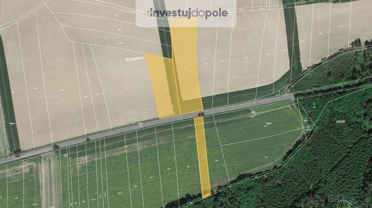 Prodej zemědělský pozemek - Nové Město nad Metují, 549 01, 9 860 m²
