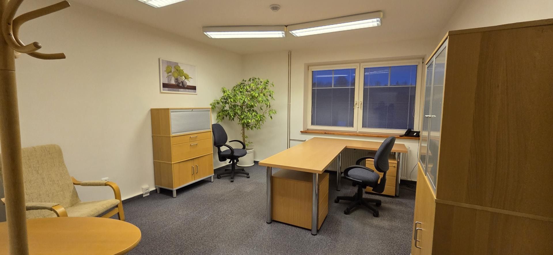 Kanceláře, Žižkova, Jeseník, 19 m²