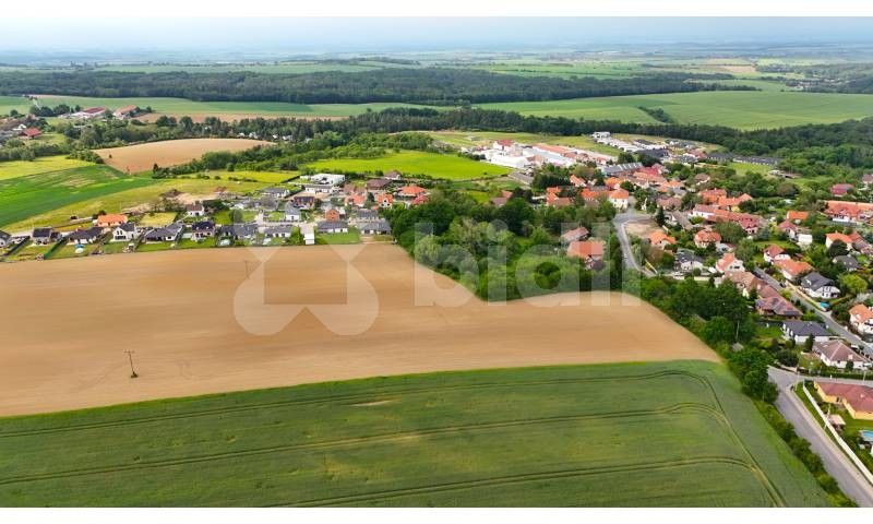 Prodej zemědělský pozemek - Doubravčice, 15 980 m²