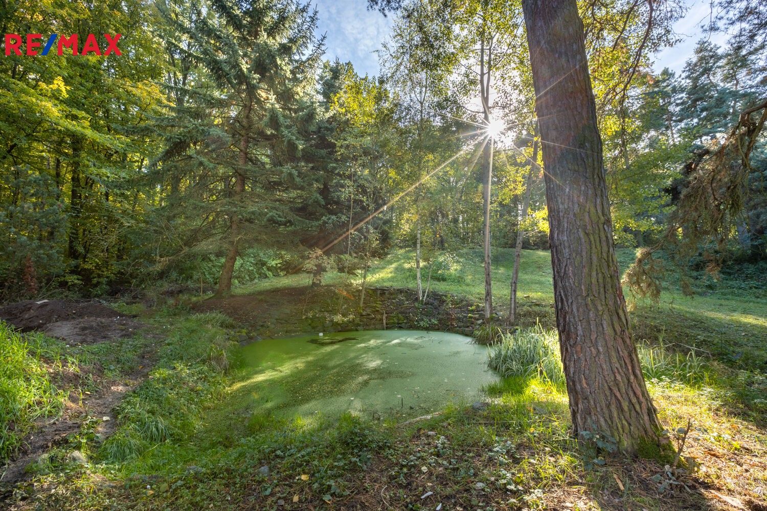 Prodej les - Praha, 17 m²