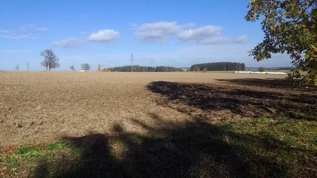 Pozemky pro bydlení, Budíkov, 396 01