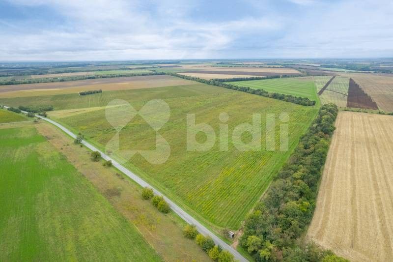 Zemědělské pozemky, Nová Ves, Pohořelice, 1 290 m²