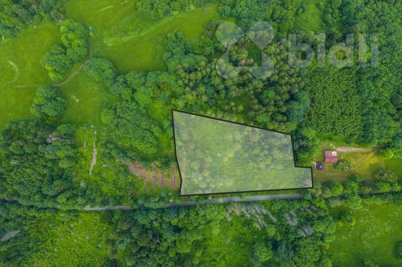 Lesy, Lhota, Chuchelna